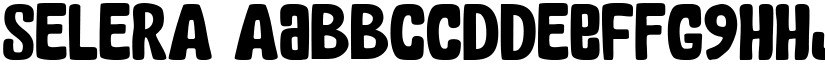 SELERA font