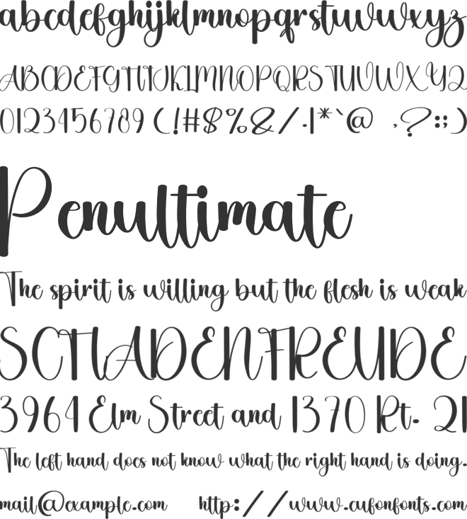 Holiday Amsterdam font preview