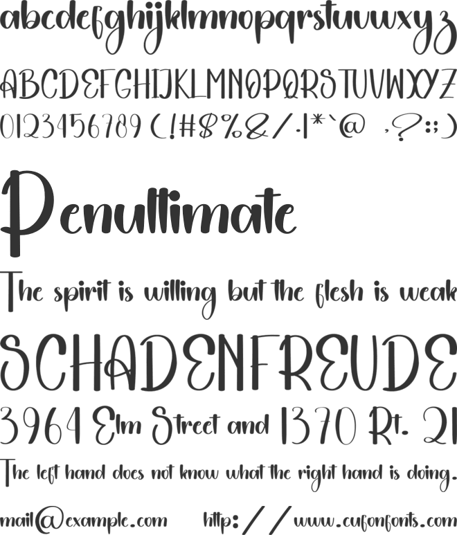 Chicago Christmas font preview