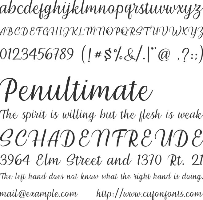 Millenial Script font preview