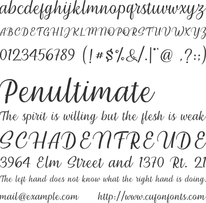 Millenial Script font preview