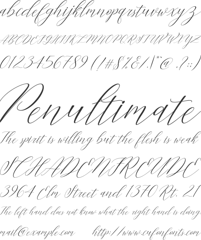 Cantona Slant font preview