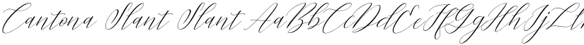 Cantona Slant Slant font