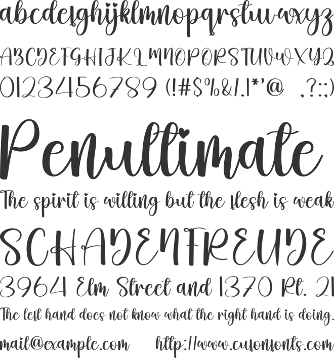 Shine Beach font preview