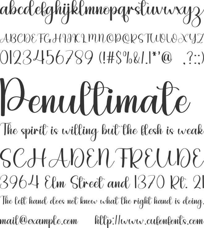Elegant Wedding font preview