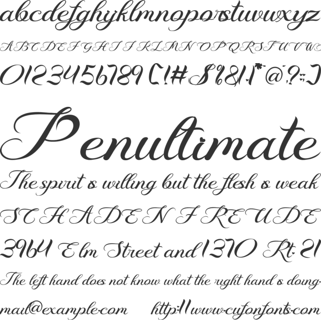 Damira Flower font preview