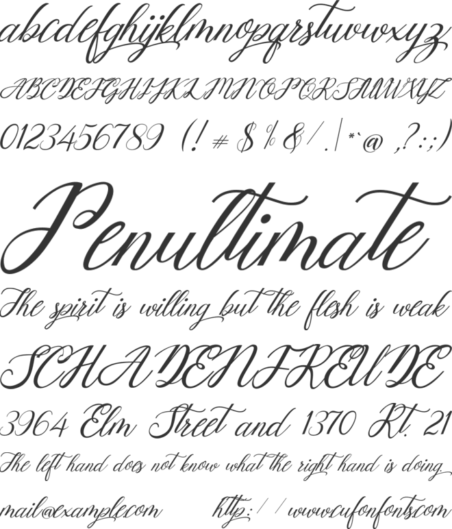 Mottingham Elegant Calligraphy font preview