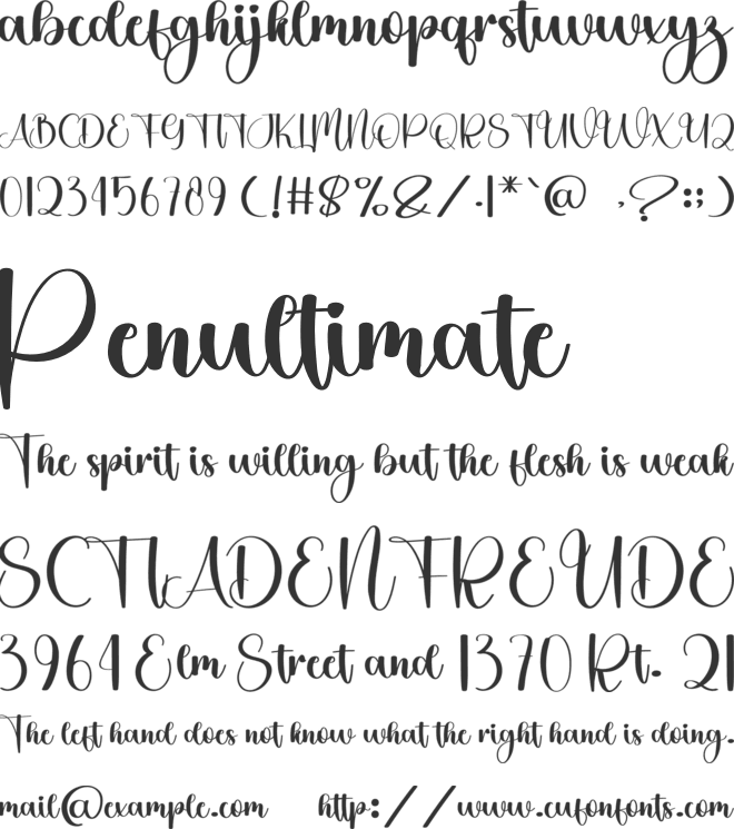 Birthday Magnolia font preview