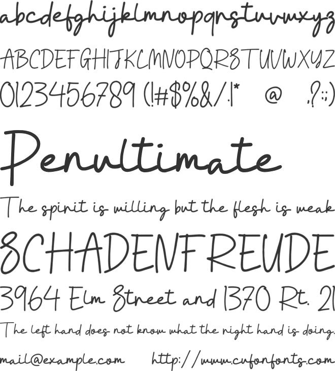 Wedding Signature font preview