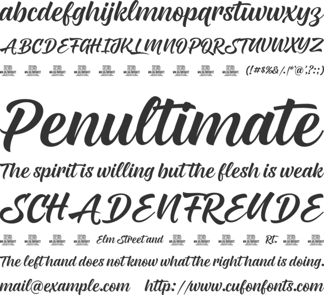 Brisket Script PERSONAL USE font preview