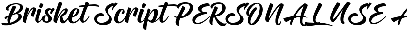 Brisket Script PERSONAL USE font