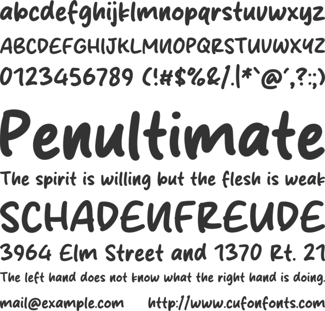 Study Daily font preview