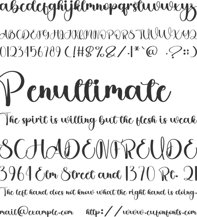Planner Autography font preview