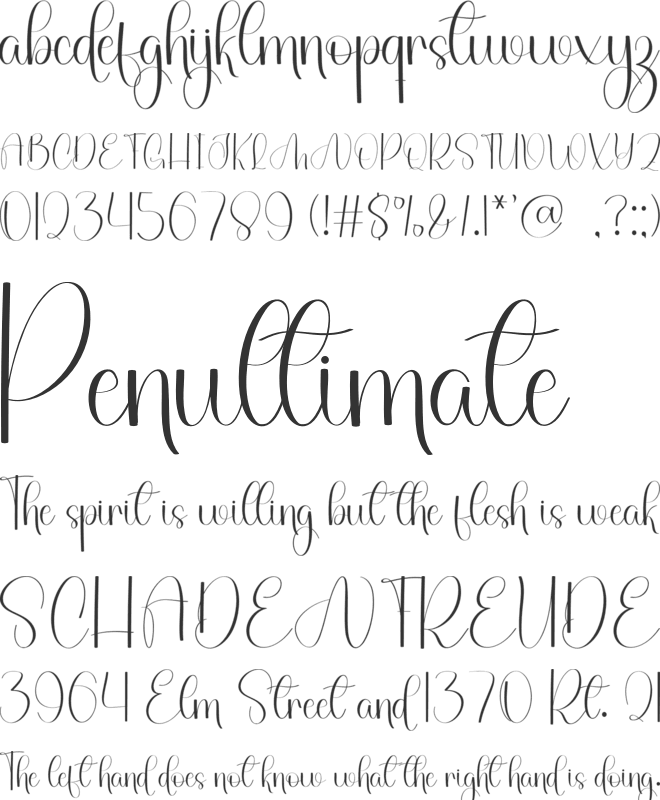 Mountain Waterclean font preview