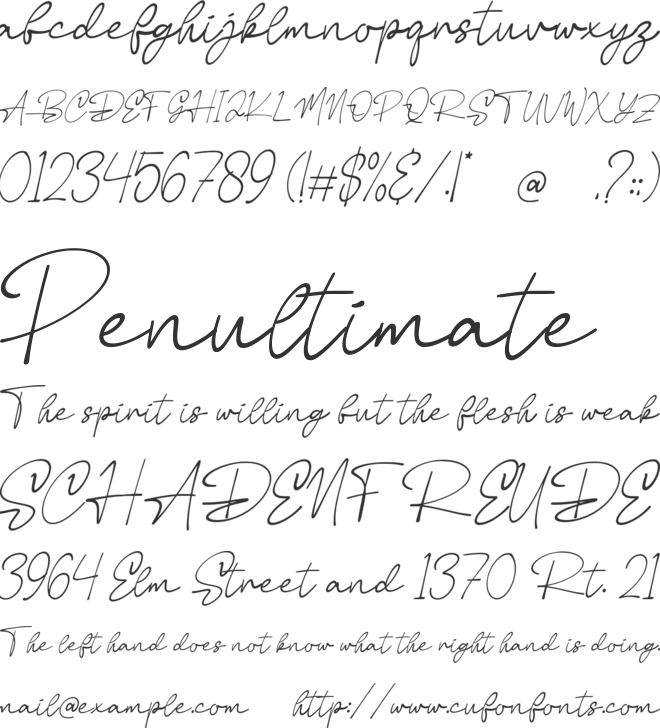Salina Script font preview