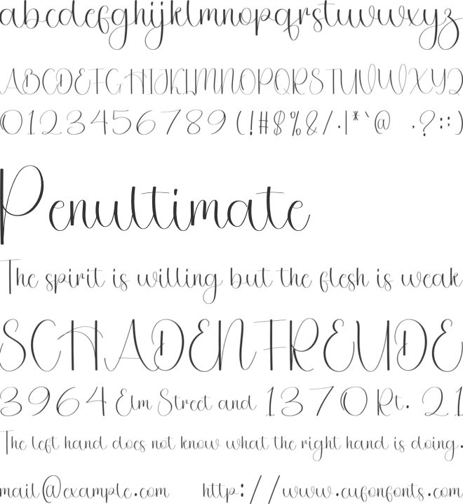 Writing Wedding font preview
