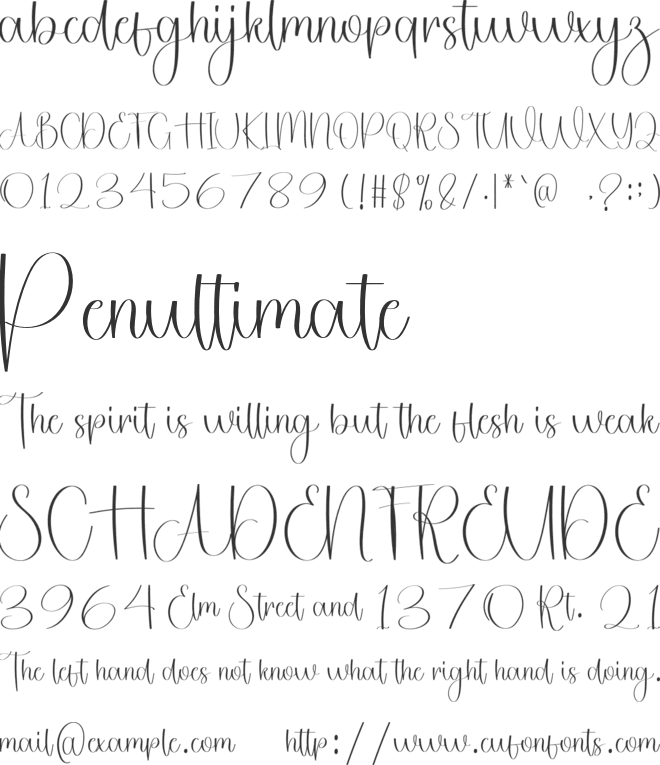 Stylish Photography font preview