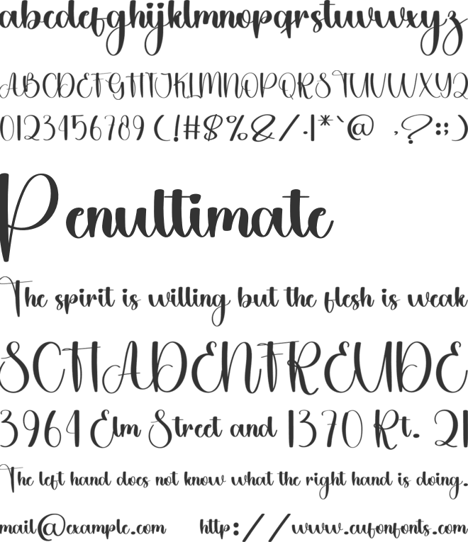 School Calligraphy font preview