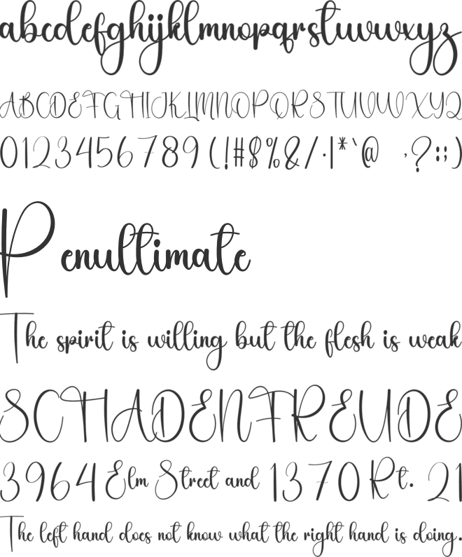 Absolute Christmas font preview