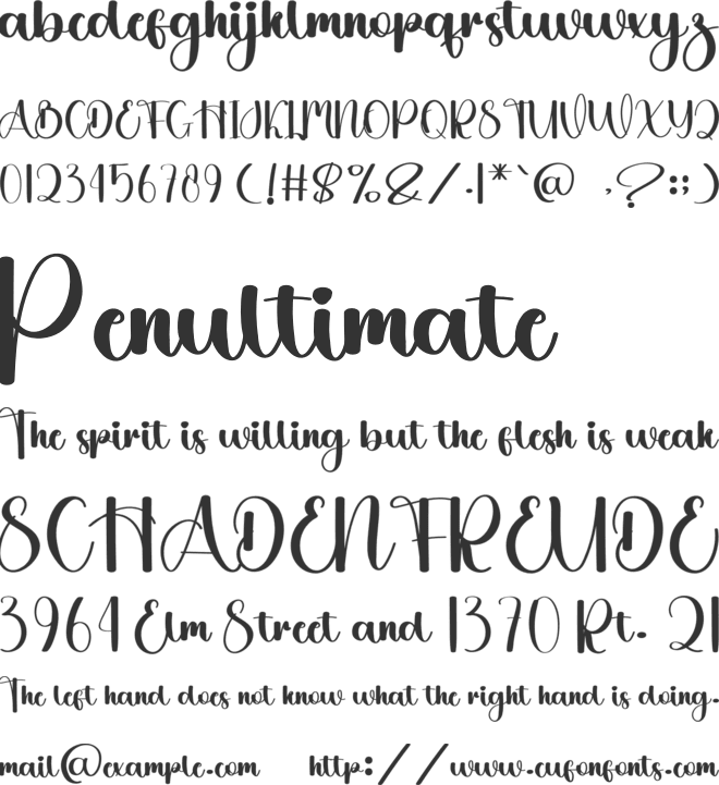 Stylish Absolute font preview
