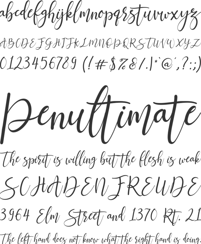 Jettiares Script Font font preview
