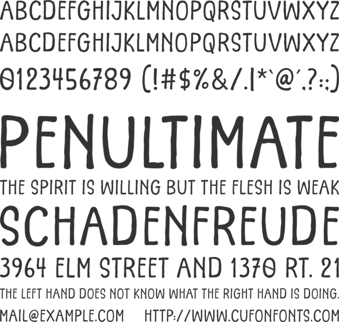 Wait Notes font preview