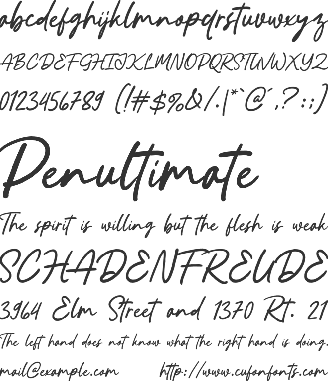Shareit font preview