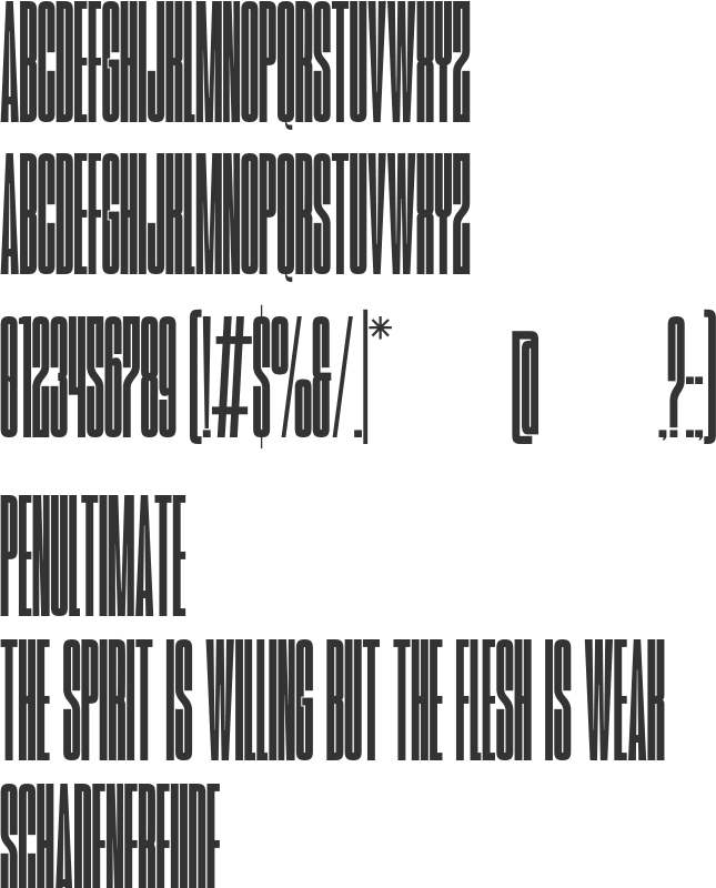 Framecase font preview