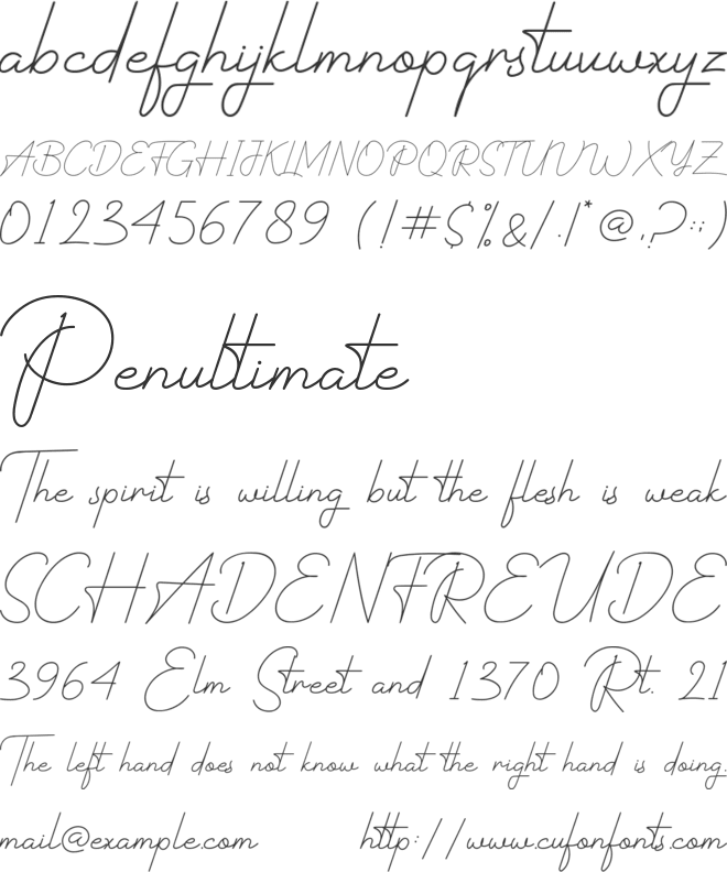 Rastery Signature font preview