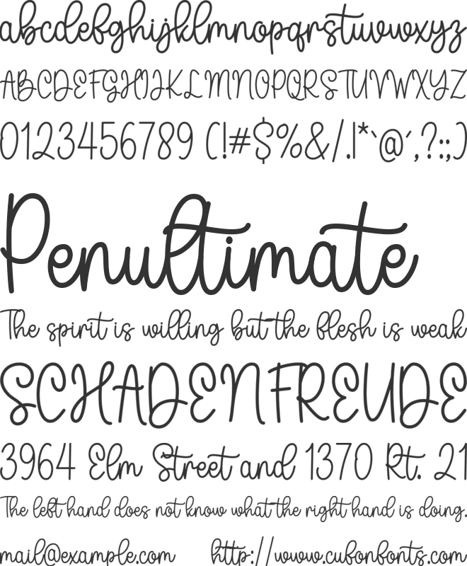 Beautiful Caroline Script font preview