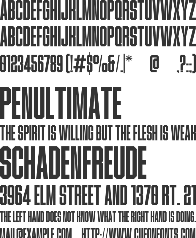 Realistico font preview