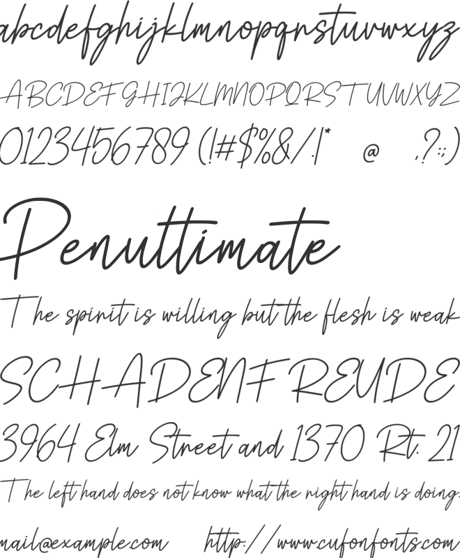 Tamera Signature font preview