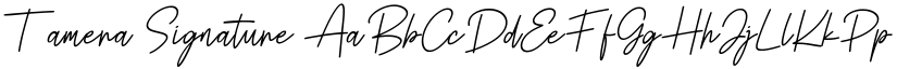 Tamera Signature font download