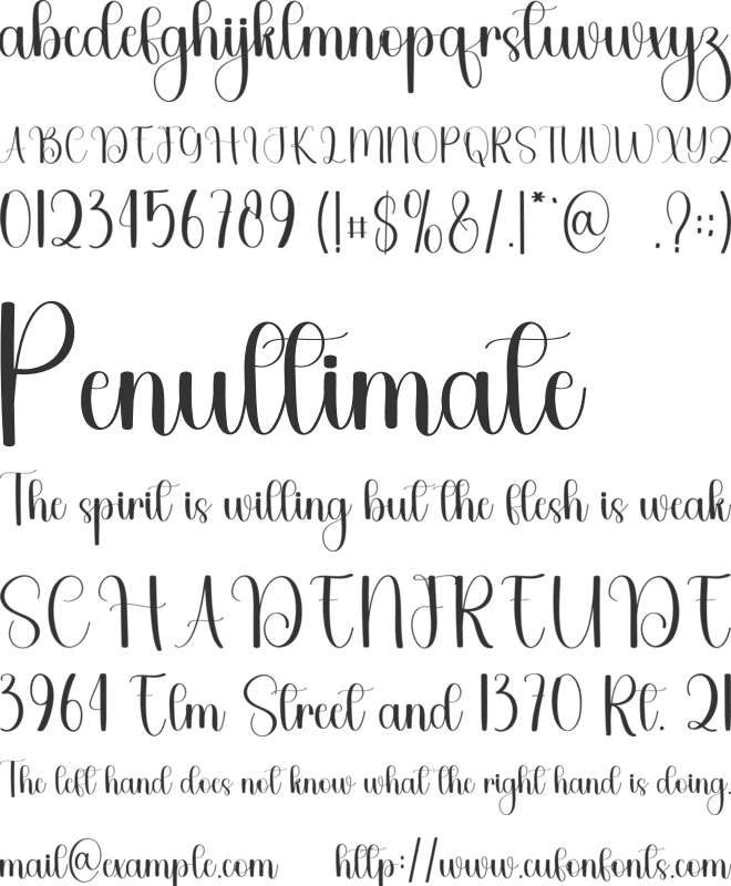 Teacher Authentic font preview