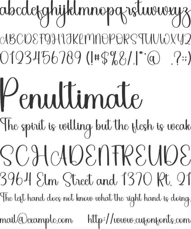 Stylish Shopping font preview