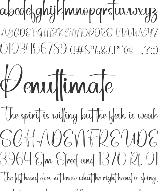 Bimble Teacher font preview
