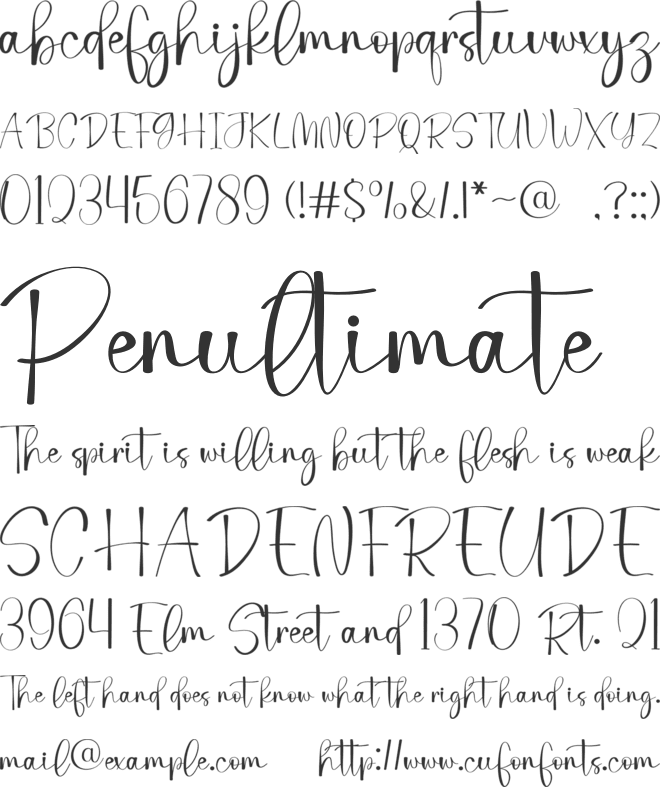 Christmas Catalina font preview