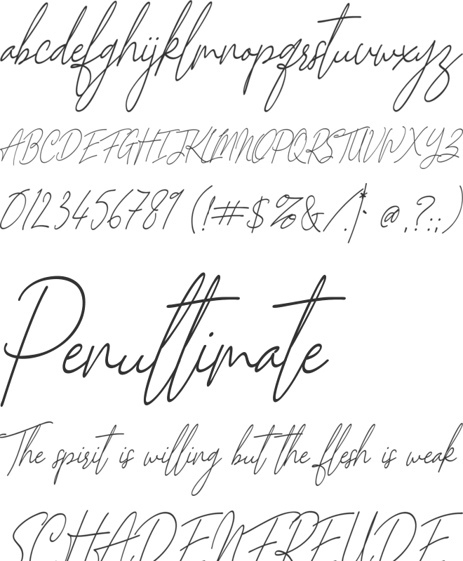 Scarlett Mackenzie font preview
