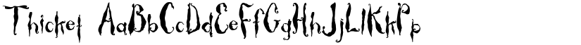 Thicket font