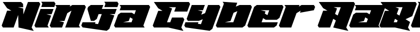 Ninja Cyber font download