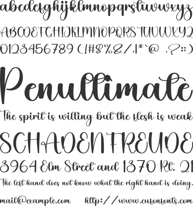 Summer  Hunting font preview