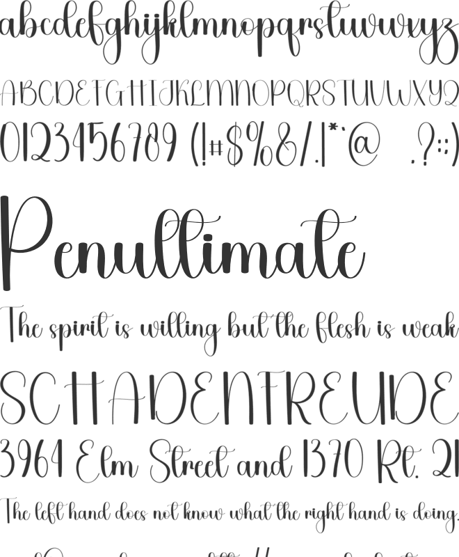 Saturday Sunday font preview