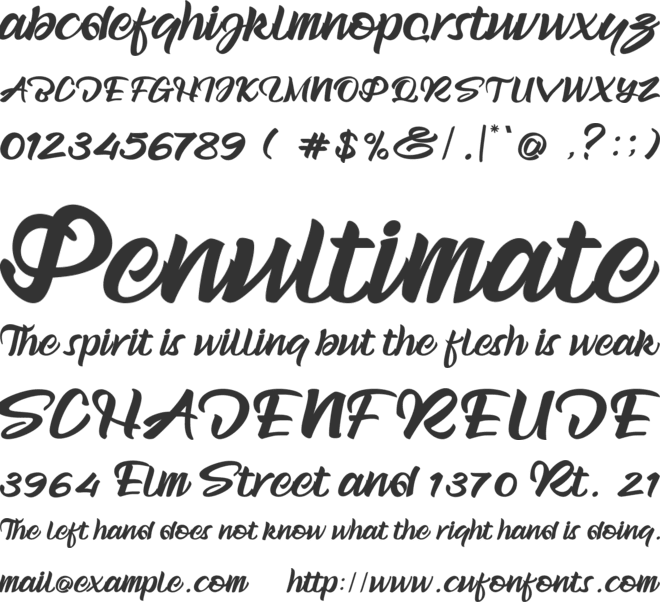 The Beach Boy font preview