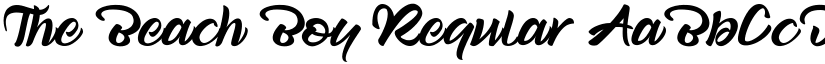The Beach Boy Regular font