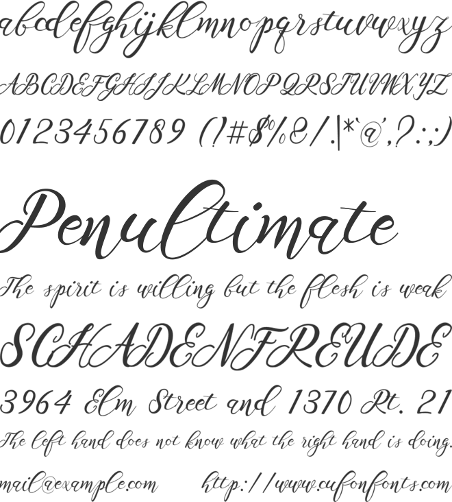 Scallion font preview