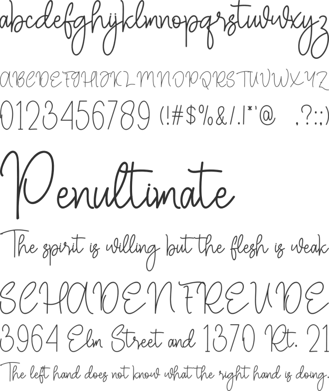 Single Beauty font preview