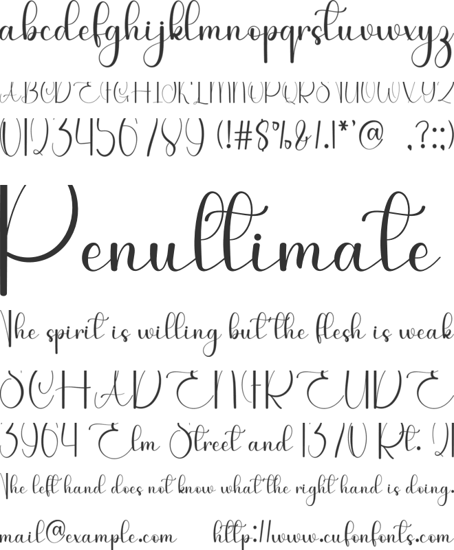 Sunday Teacher font preview