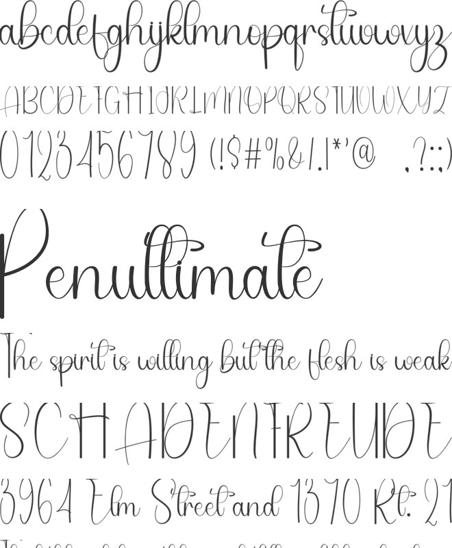 Monday Together font preview