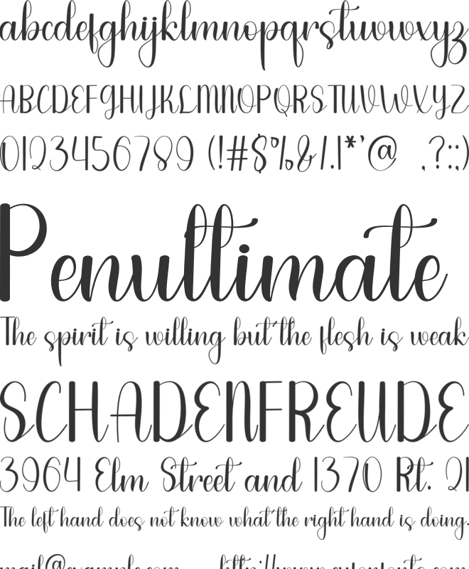 Anything Wedding font preview