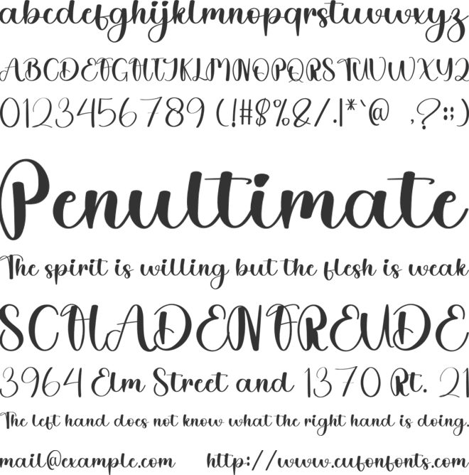 Biscuit Delicious font preview